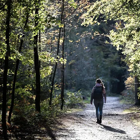 Boutique Le Faucon Alojamento de Acomodação e Pequeno-almoço