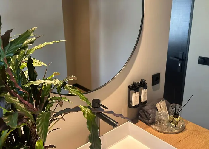 Bed & Breakfast Boutique Le Faucon Valkenburg aan de Geul