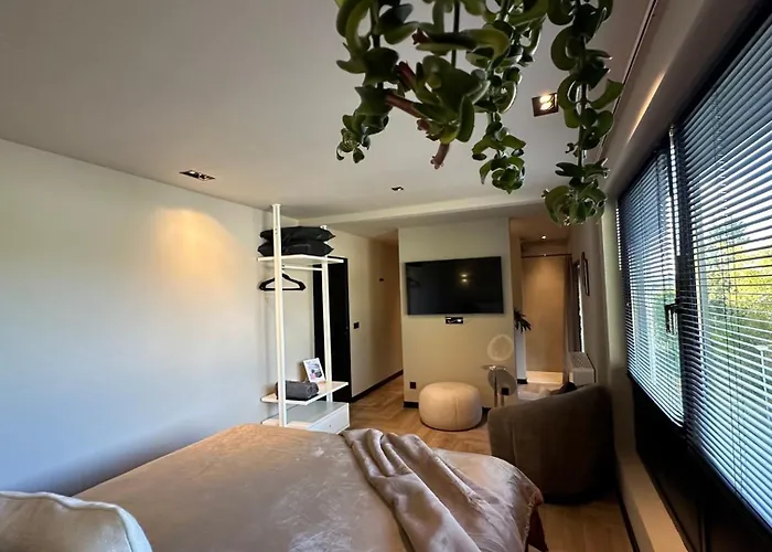 Boutique Le Faucon Bed & Breakfast Valkenburg aan de Geul