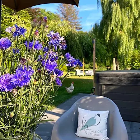 Boutique Le Faucon Nocleg ze śniadaniem 3*