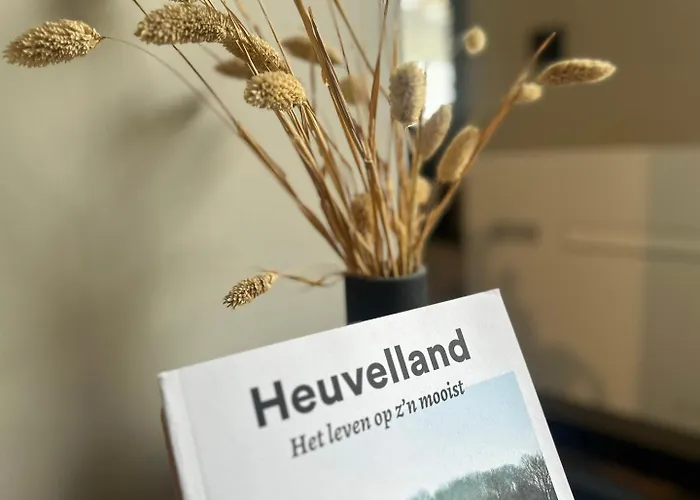 Boutique Le Faucon 3* Валкенбург