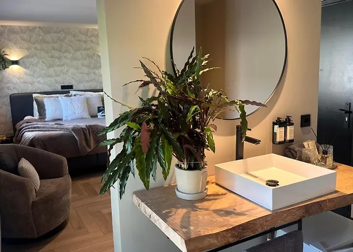 Boutique Le Faucon Валкенбург