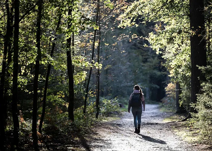 Boutique Le Faucon Отель типа 